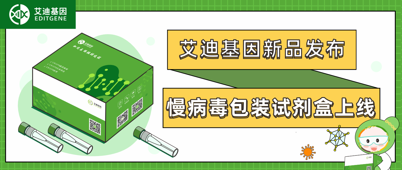 新品发布| 瓦力生物基因慢病毒包装试剂盒全新上线！高滴度高效率，自主操作无忧下游实验！