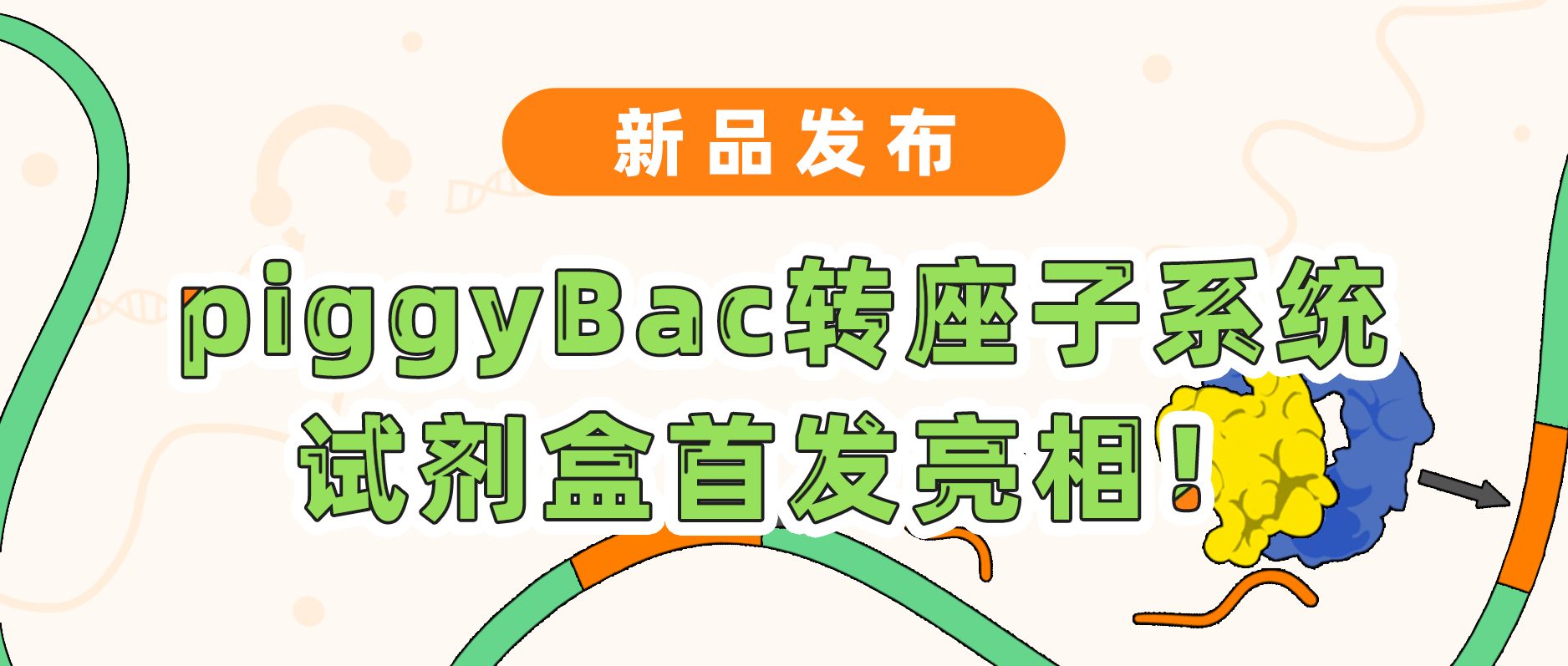 新品发布| 瓦力生物基因piggyBac转座子系统试剂盒首发亮相！极速转座，千元不到体验高效基因递送！