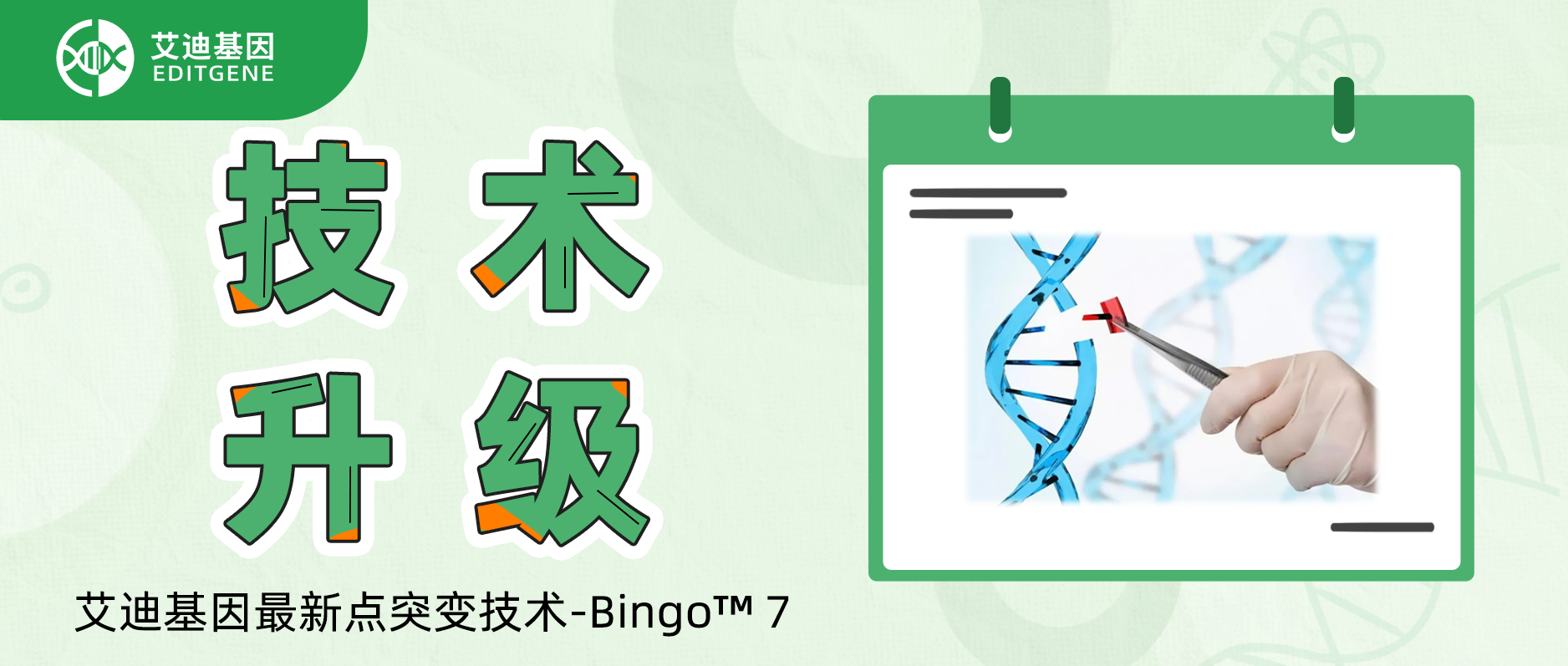 基因编辑精准与效率双向飙升！瓦力生物基因重磅推出升级基因定点突变技术-Bingo™ 7!