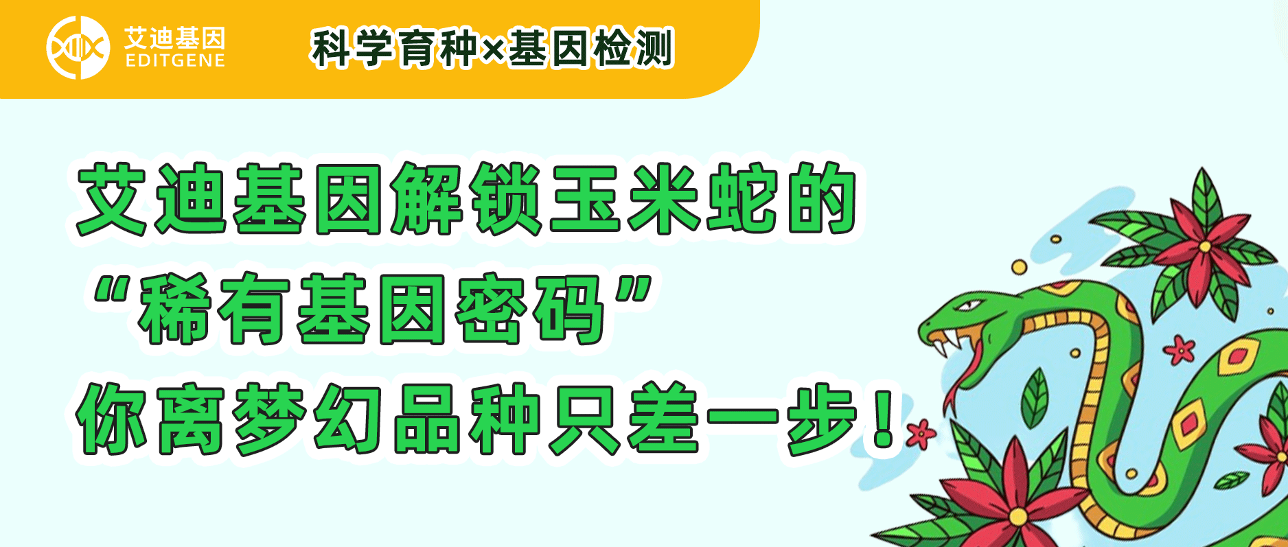 科研育种×基因检测 | 瓦力生物基因解锁玉米蛇的“稀有基因密码”，你离梦幻品种只差一步！