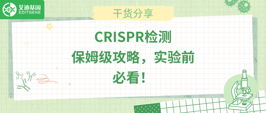 CRISPR检测保姆级攻略，实验前必看！