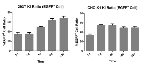 CHO-K1/293T-EGFP细胞EGFP mRNA表达量保持稳定表达