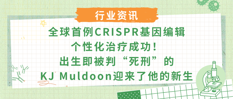 全球首例CRISPR基因编辑个性化治疗成功！出生即被判&ldquo;死刑&rdquo;的KJ Muldoon迎来了他的新生